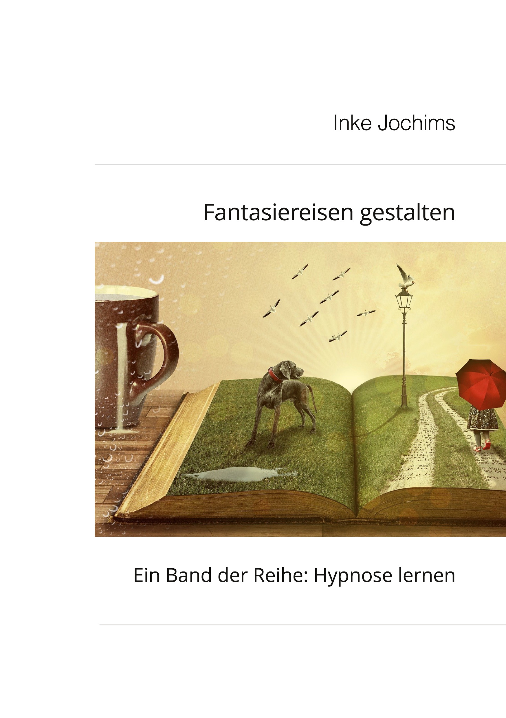 Buch von Inke Jochims