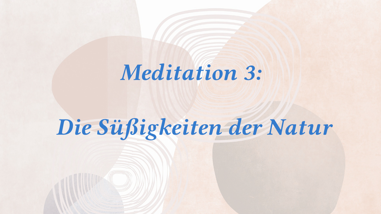 Meditationen - Inke Jochims