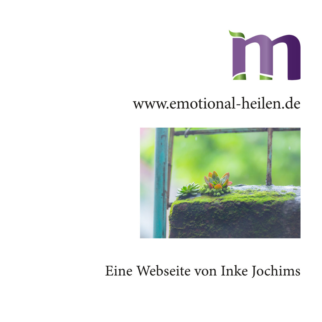 Webseite von Inke Jochims